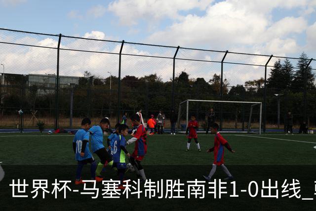 世界杯-马塞科制胜南非1-0出线 韩国积3分获小组第三待定